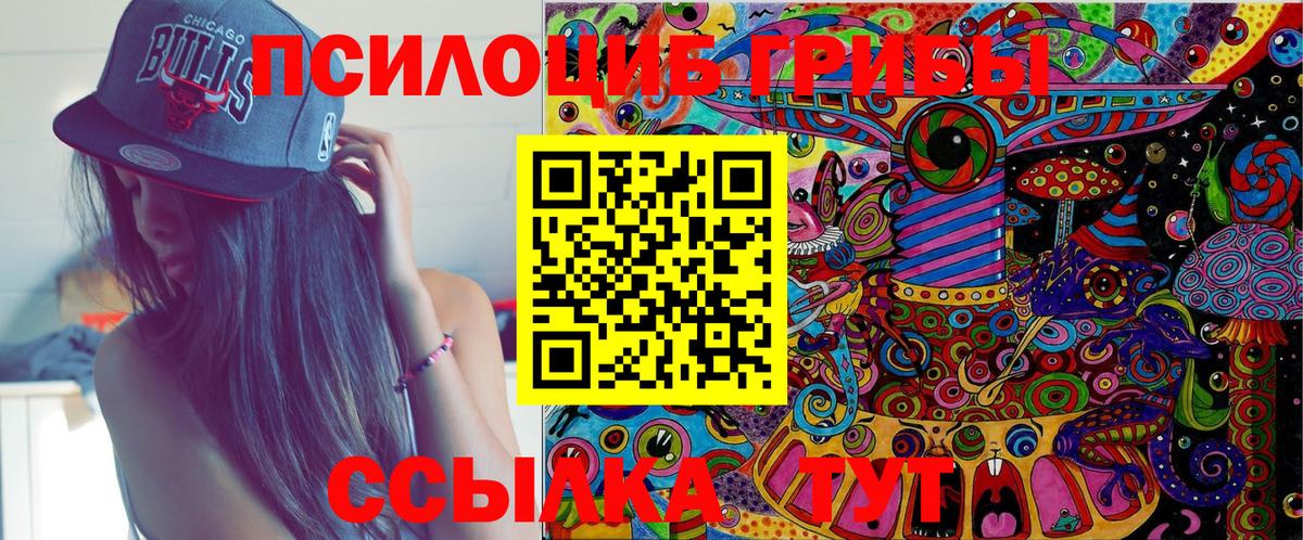 Псилоцибиновые грибы Cubensis  Вход с VPN  Конаково 