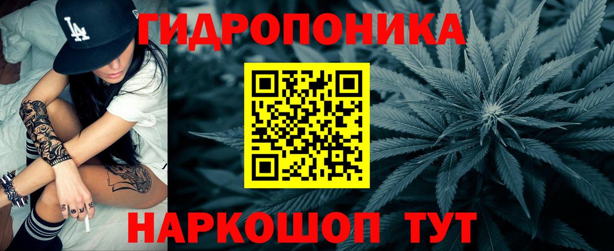 Канабис планчик Конаково